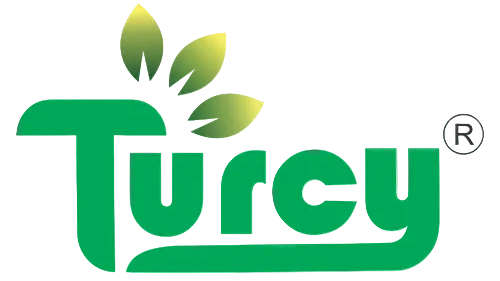 Turcy